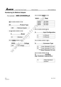 AMD-24V060W2BA Datasheet Page 4