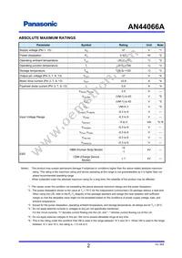 AN44066A-VF Datasheet Page 2