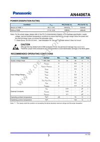 AN44067A-VF Datasheet Page 3