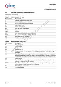AN983BX-BG-R-V1 Datasheet Page 12