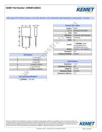 ARR09F125MGS Datasheet Cover