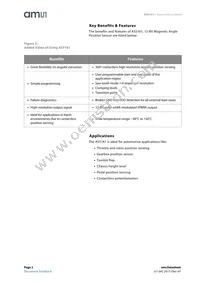 AS5161-HSOM Datasheet Page 2