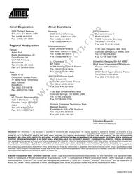 AT17N512-10PI Datasheet Page 19