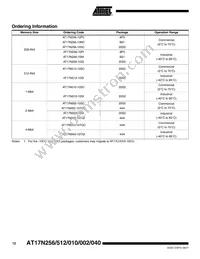 AT17N512-10SI Datasheet Page 12