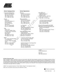 AT29BV020-15TI Datasheet Page 15