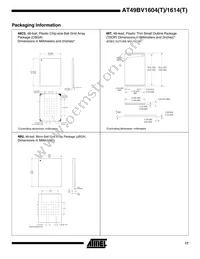 AT49BV1614T-11CI Datasheet Page 17