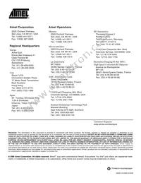 AT49LV1024A-45VL Datasheet Page 15