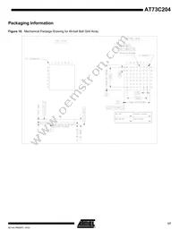 AT73C204J Datasheet Page 17