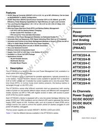 AT73C224-A Datasheet Cover