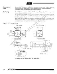 AT75C310-Q160 Datasheet Page 10