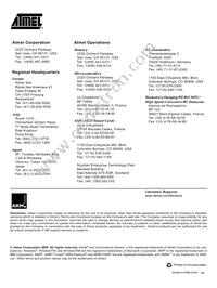 AT91FR40161-CI Datasheet Page 22