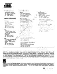 AT91FR40162-CI-T Datasheet Page 23