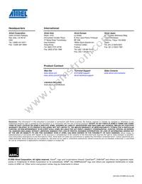 AT91FR40162SB-CU-999 Datasheet Page 22