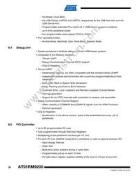 AT91RM9200-QI-002-T Datasheet Page 20