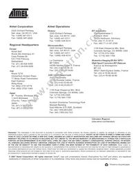 AT93C46Y6-10YH-1.8 Datasheet Page 18