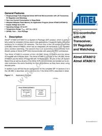 ATA6613P-PLQW Datasheet Cover