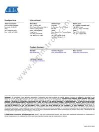 ATA6620N-TAQY Datasheet Page 22