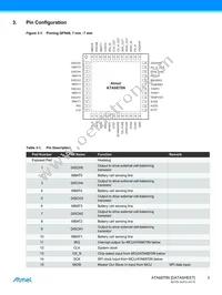 ATA6870N-PLQW-1 Datasheet Page 3