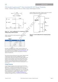 ATM020A0X3-SRZ Datasheet Page 13