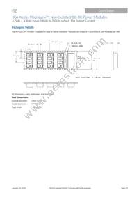 ATM030A0X3-SRPHZ Datasheet Page 19