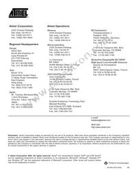 ATMEGA169V-1MC Datasheet Page 22