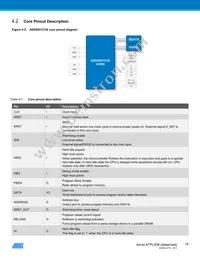 ATPL00B-AZU-Y Datasheet Page 18