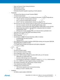 ATSAML21J18A-MUT Datasheet Page 2