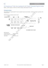 AXA010A0Y93-SRZ Datasheet Page 17