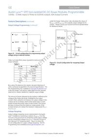 AXH010A0X-SR Datasheet Page 13