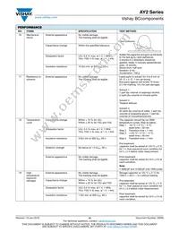 AY2471K29Y5SS63L7 Datasheet Page 10