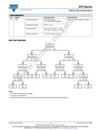 AY2471K29Y5SS63L7 Datasheet Page 11