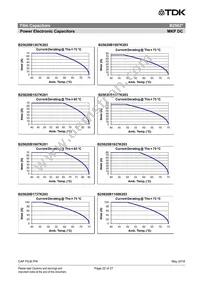 B25620C1706K981 Datasheet Page 22