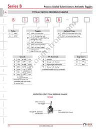B2RKH-AG Datasheet Page 3