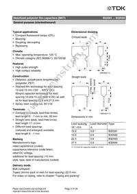 B32592C6104J008 Datasheet Page 19