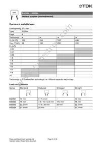 B32592C6104J008 Datasheet Page 21