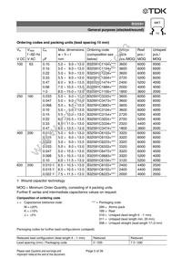 B32592C6104J008 Datasheet Page 22