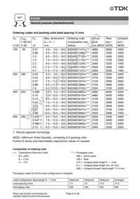 B32592C6104J008 Datasheet Page 23