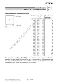 B32776P6106K000 Datasheet Page 21