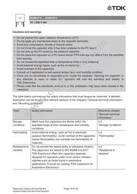 B32916A5225K000 Datasheet Page 18