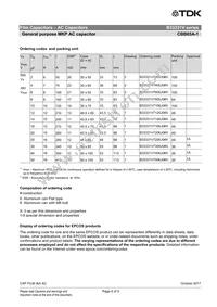 B33331V7206J080 Datasheet Page 6