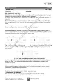 B39162B3913U410 Datasheet Page 8