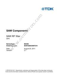 B39162B4300F210 Datasheet Page 3