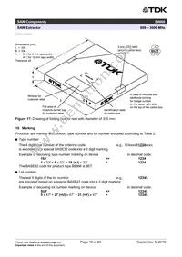 B39162B8666L210 Datasheet Page 20