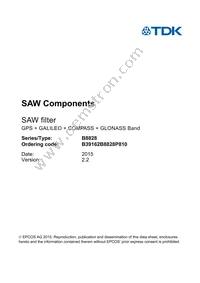 B39162B8828P810 Datasheet Page 3