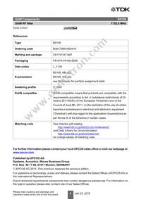 B39172B5109U410 Datasheet Page 10