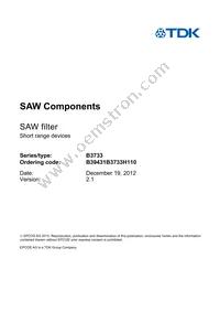 B39431B3733H110 Datasheet Page 3