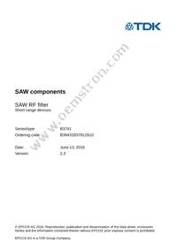 B39431B3791Z810 Datasheet Page 3