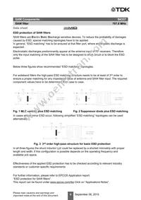 B39711B4337P810 Datasheet Page 8