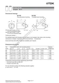 B41458B8150M003 Datasheet Page 4