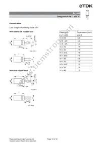 B41888C8687M000 Datasheet Page 20